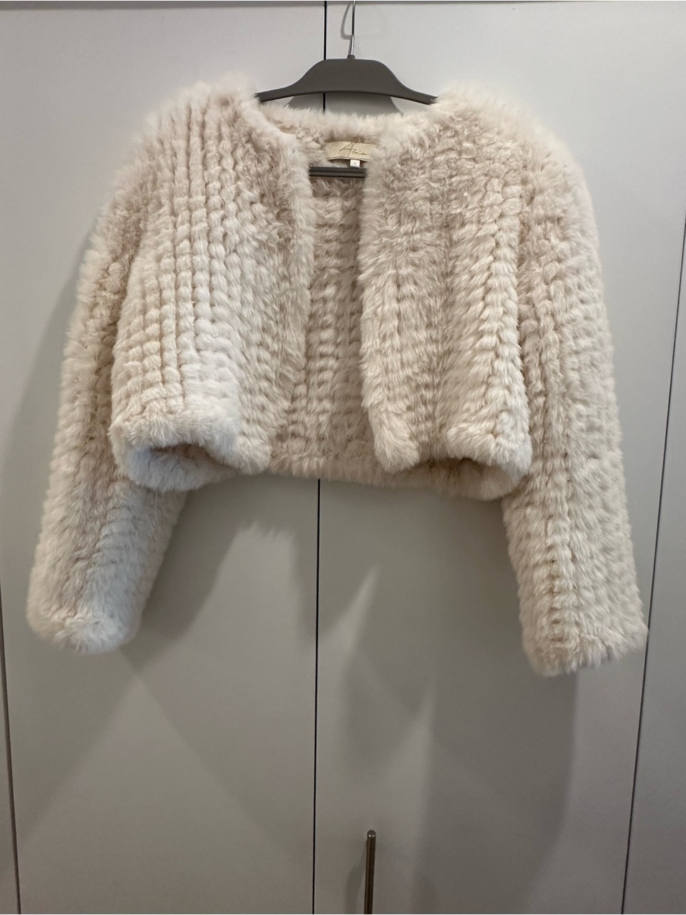 Aria Plush Faux Fur Jacket in Soft Beige